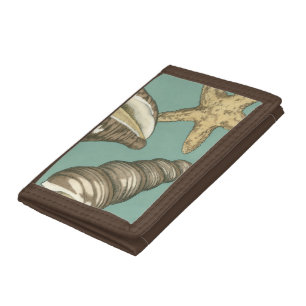 Small Shell Trio on Teal Tri-fold Wallet