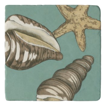 Small Shell Trio On Teal Trivet by worldartgroup at Zazzle
