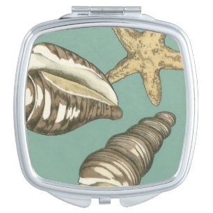 Small Shell Trio on Teal Vanity Mirror