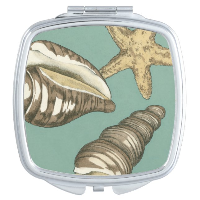 Small Shell Trio on Teal Vanity Mirror (Front)