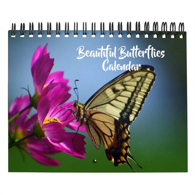 Small Size Beautiful Butterflies Calendar (Cover)