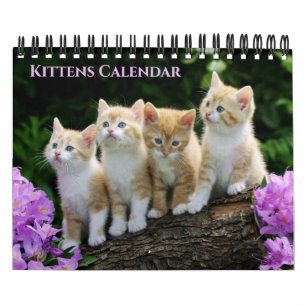 Small Size Kittens Calendar