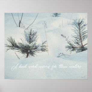 Small spruces covered with fresh snow. poster