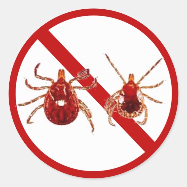 Small Stickers, Lyme Disease Tick (White) Classic Round Sticker (Front)