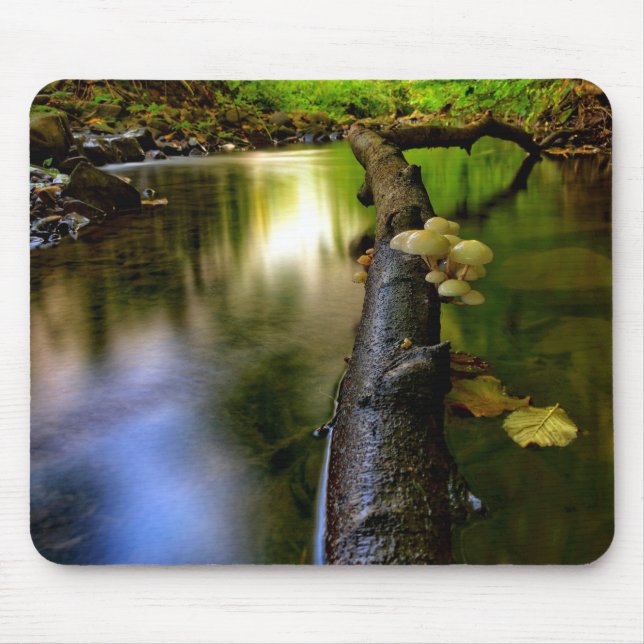 Small stream mushrooms in Bowden Burn Mouse Pad (Front)