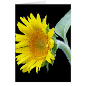 Small Sunflower (Front)