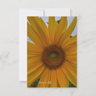 Small Sunflower Note Card