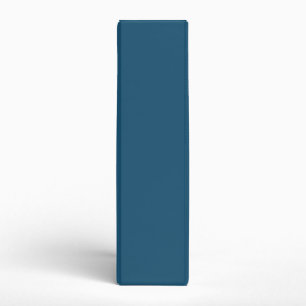Small Swimmer 3 2011 Binder