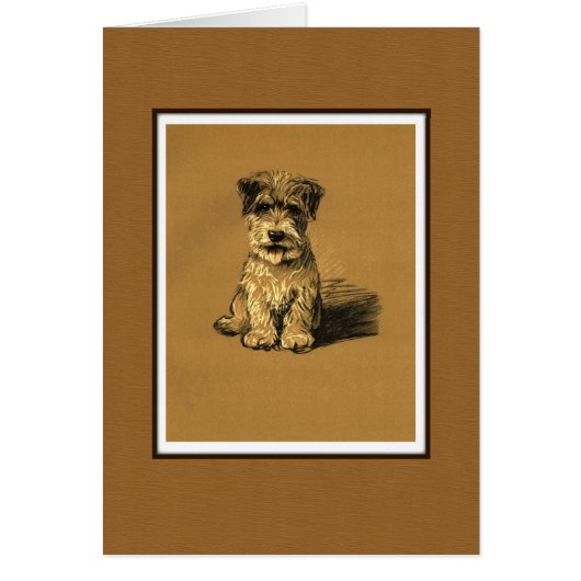 Small Terrier Puppy Dog (Front)