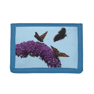 Small Tortoiseshell Butterflies on Buddleja Wallet