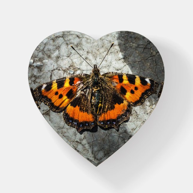 Small Tortoiseshell Butterfly Heart Paperweight (Front)