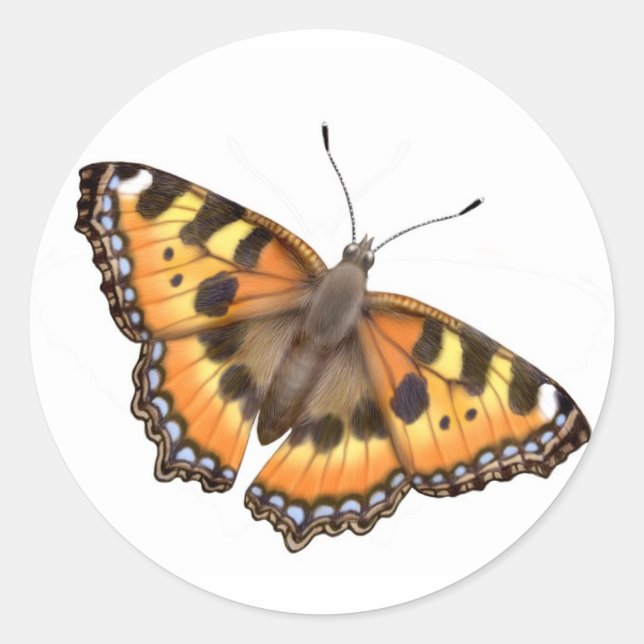 Small Tortoiseshell Butterfly Sticker (Front)