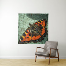 Small Tortoiseshell Butterfly 