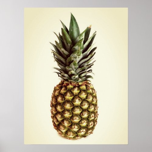 Small vintage pineapple fruit photo poster