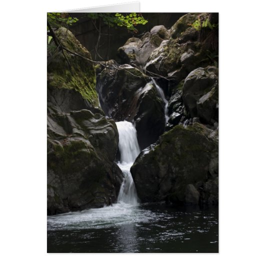 Small Waterfall (Front)