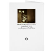 Small Waterfall Cards (Back)