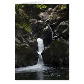 Small Waterfall Cards