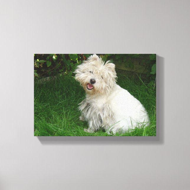 Small White Dog on Canvas Print (Front)