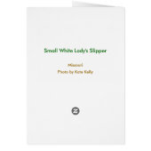 Small White Lady's Slipper Cards (Back)