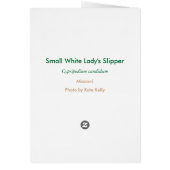 Small White Lady's Slipper - Customized Cards (Back)