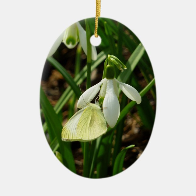 Small White on Snowdrop Ceramic Ornament (Front)