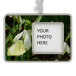Small White on Snowdrop Christmas Ornament