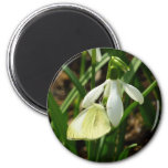 Small White on Snowdrop Magnet