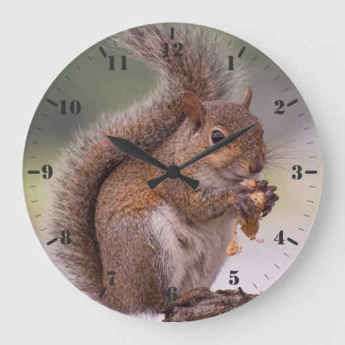 Small wild animal cute Florida squirrel close_up   Large Clock