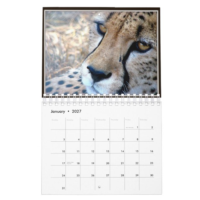 Small Wild Animal Faces Calendar 2012 (Jan 2027)