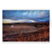 Small World (Front Horizontal)