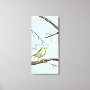 Small Yellow Bird Perched on a Branch Looking up Canvas Print