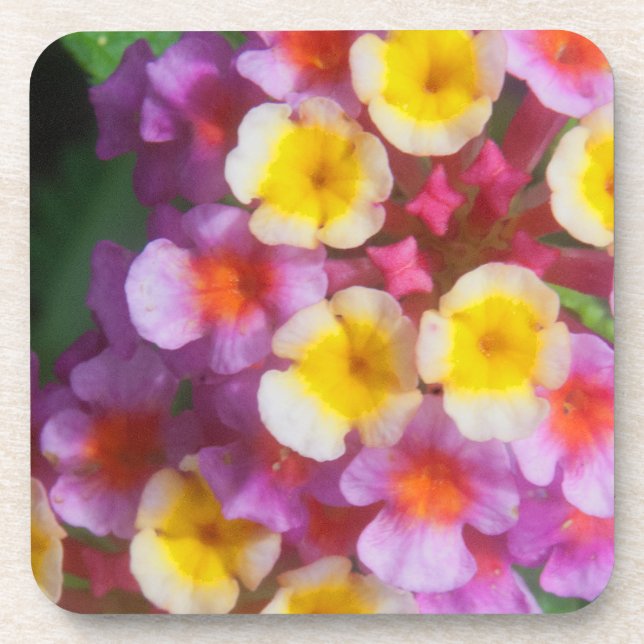 Small Yellow Pink and Purple Tropical Flowers Beverage Coaster (Front)