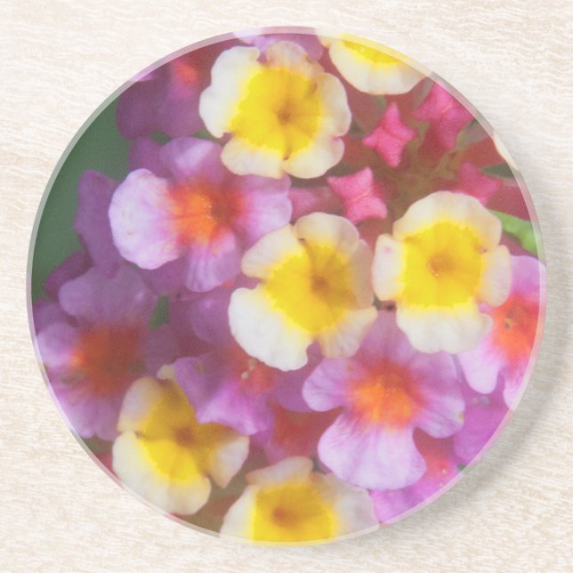 Small Yellow Pink and Purple Tropical Flowers Coaster (Front)