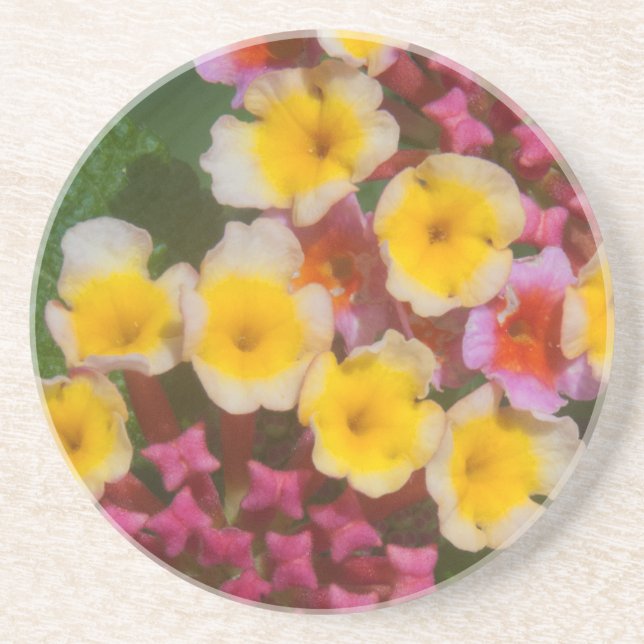 Small Yellow Tropical Flowers With Pink Buds Drink Coaster (Front)