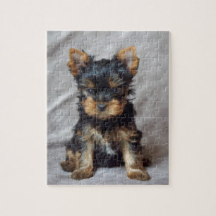 Small yorkie jigsaw puzzle