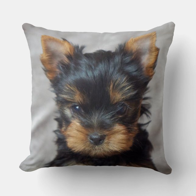 Small yorkie throw pillow (Front)