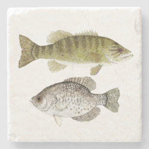 Smallmouth Bass and Crappie Coaster