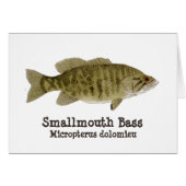 Smallmouth Bass Card (Front Horizontal)