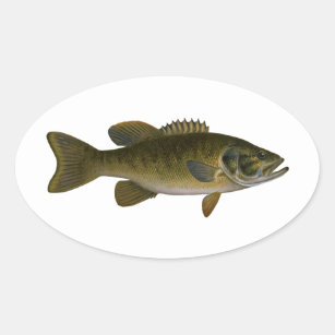 Smallmouth Bass Logo Oval Sticker