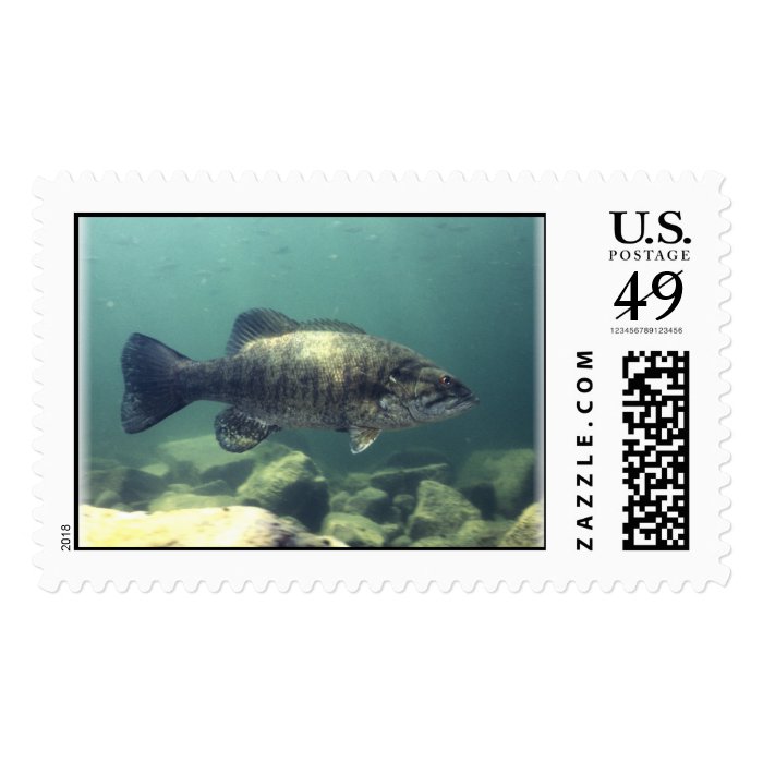 Smallmouth Bass Postage Stamp