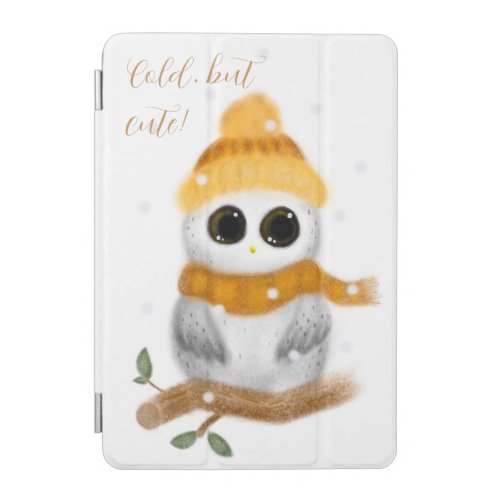 Smart Cover Hibou in winter