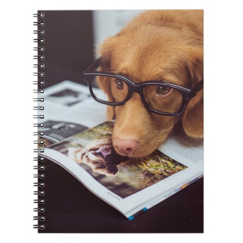 Smart Dog with Glasses on a Book