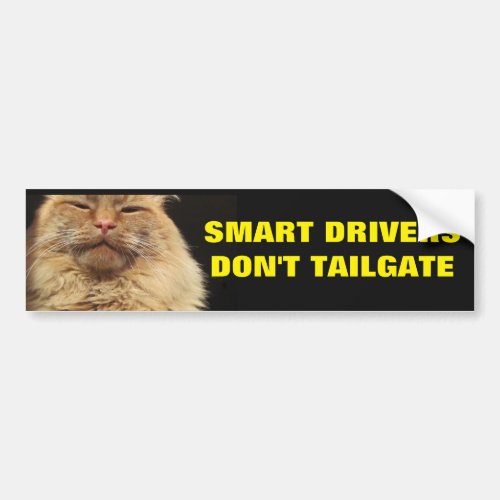 Smart Drivers Dont Tailgate Mean Cat Bumper Sticker