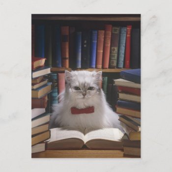 Smart Graduation Cat Announcement Postcard by patrickhoenderkamp at Zazzle