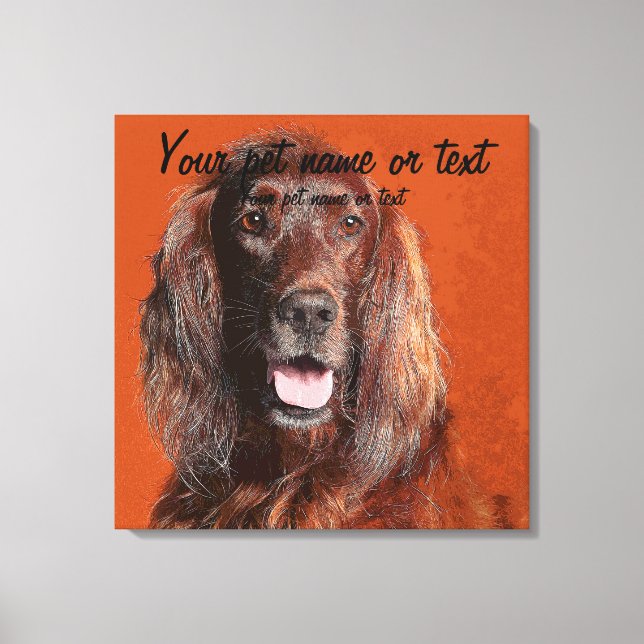 Smart Irish Setter Dog Canvas Print (Front)