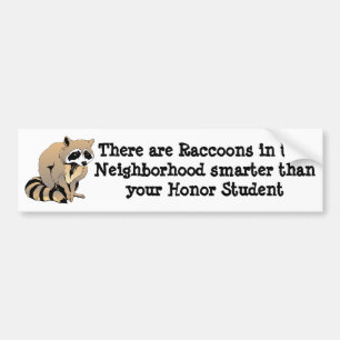 Smart Raccoon Bumper Sticker