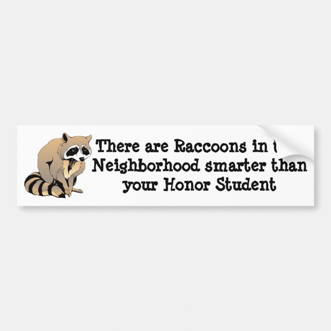 Smart Raccoon Bumper Sticker (Front)