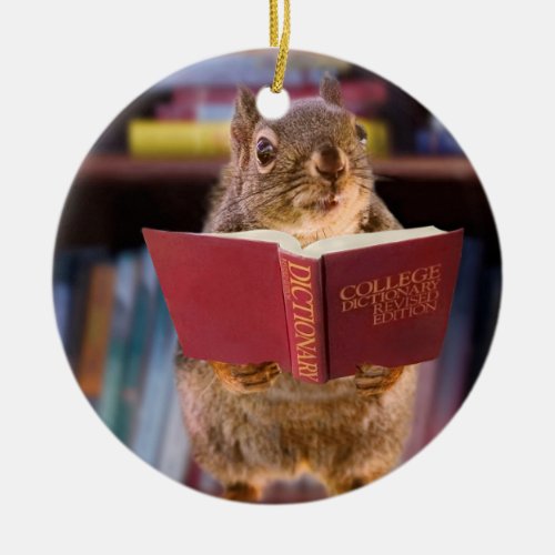 Smart Squirrel Reading a Dictionary Ceramic Ornament