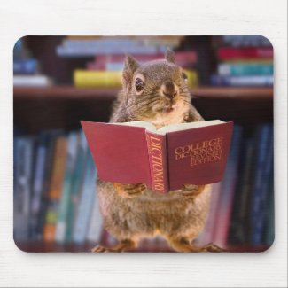 Smart Squirrel Reading a Dictionary Mouse Pad