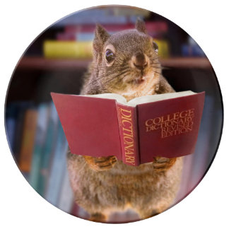 Image result for smart squirrel
